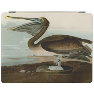 John James Audubon Brown Pelican Artwork Painting iPad Smart Cover