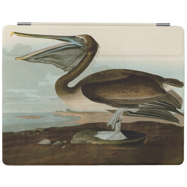 John James Audubon Brown Pelican Artwork Painting iPad Smart Cover (Horizontal)