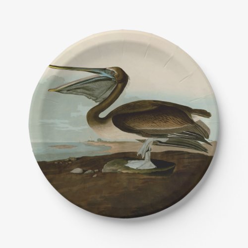 John James Audubon Brown Pelican Artwork Painting Paper Plates