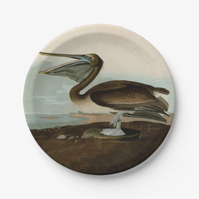 John James Audubon Brown Pelican Artwork Painting Paper Plates (Front)