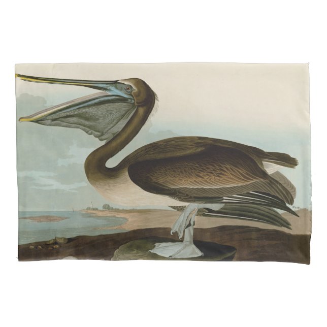 John James Audubon Brown Pelican Artwork Painting Pillow Case (Front)