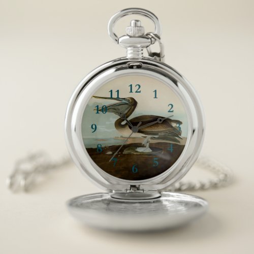 John James Audubon Brown Pelican Artwork Painting Pocket Watch