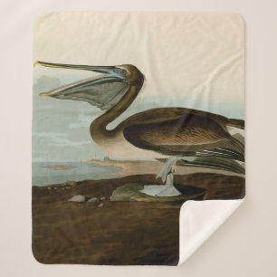 John James Audubon Brown Pelican Artwork Painting Sherpa Blanket