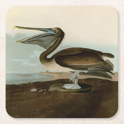 John James Audubon Brown Pelican Artwork Painting Square Paper Coaster