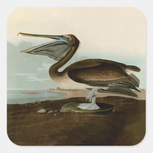John James Audubon Brown Pelican Artwork Painting Square Sticker