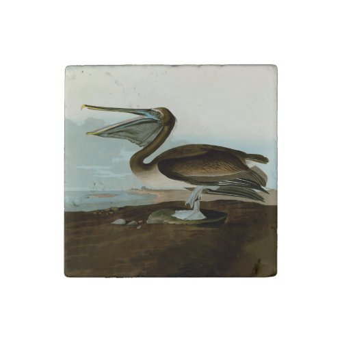 John James Audubon Brown Pelican Artwork Painting Stone Magnet