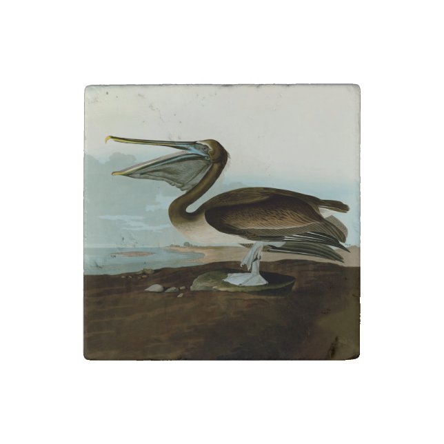 John James Audubon Brown Pelican Artwork Painting Stone Magnet (Fourth Magnet)