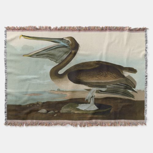 John James Audubon Brown Pelican Artwork Painting Throw Blanket