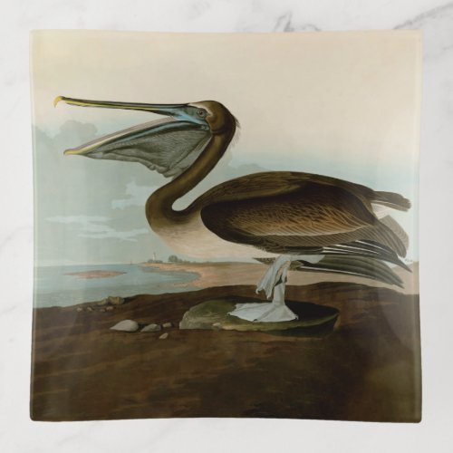 John James Audubon Brown Pelican Artwork Painting Trinket Tray