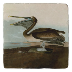 John James Audubon Brown Pelican Artwork Painting Trivet