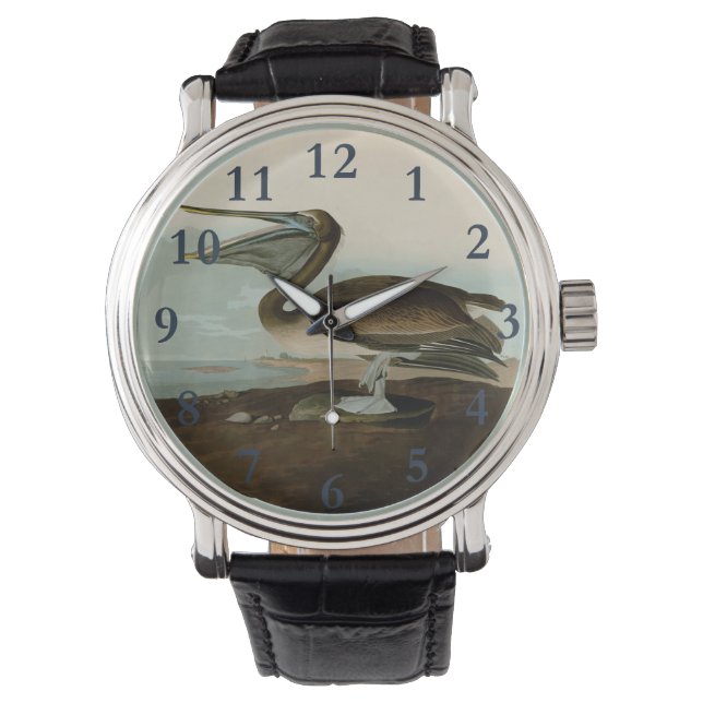 John James Audubon Brown Pelican Artwork Painting Watch (Front)