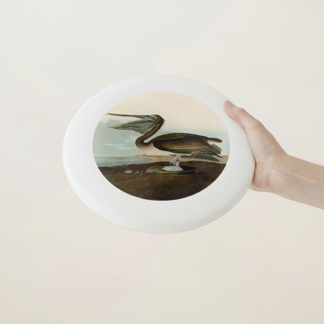 John James Audubon Brown Pelican Artwork Painting Wham-O Frisbee (In Hand)