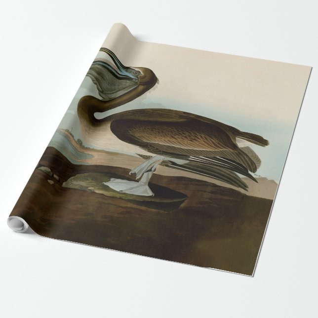 John James Audubon Brown Pelican Artwork Painting Wrapping Paper (Unrolled)