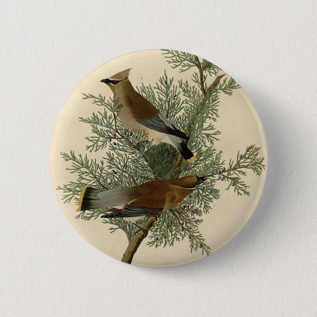 John James Audubon Cedar Waxwing Bird Print Button (Front)