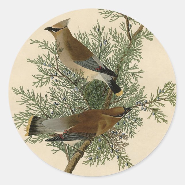 John James Audubon Cedar Waxwing Bird Print Classic Round Sticker (Front)