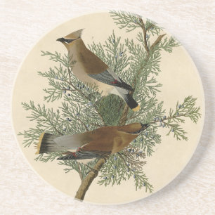 John James Audubon Cedar Waxwing Bird Print Coaster
