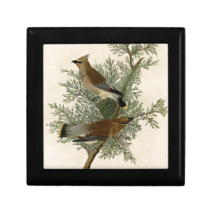 John James Audubon Cedar Waxwing Bird Print Gift Box
