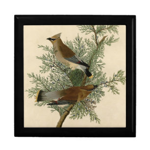John James Audubon Cedar Waxwing Bird Print Gift Box
