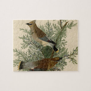 John James Audubon Cedar Waxwing Bird Print Jigsaw Puzzle
