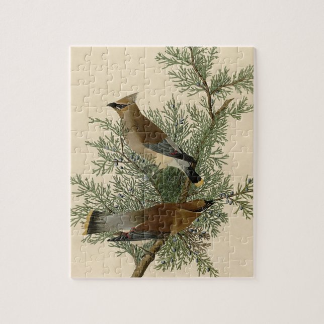 John James Audubon Cedar Waxwing Bird Print Jigsaw Puzzle (Vertical)