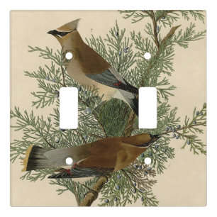 John James Audubon Cedar Waxwing Bird Print Light Switch Cover