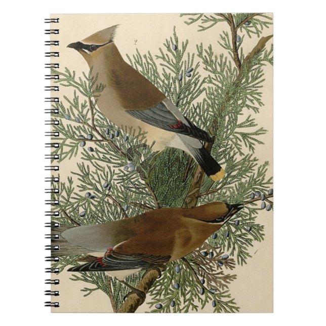 John James Audubon Cedar Waxwing Bird Print Notebook (Front)