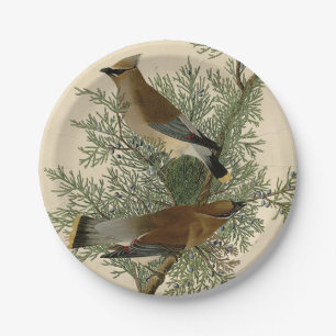 John James Audubon Cedar Waxwing Bird Print Paper Plates