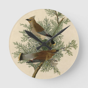 John James Audubon Cedar Waxwing Bird Print Round Clock