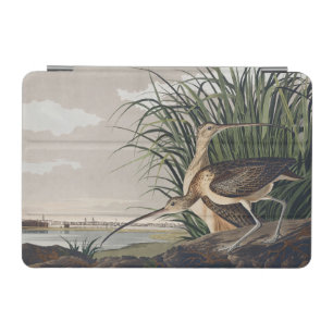 John James Audubon Long-Billed Curlew Bird iPad Mini Cover