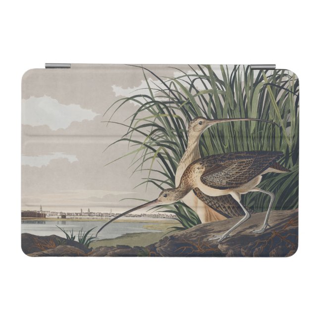 John James Audubon Long-Billed Curlew Bird iPad Mini Cover (Horizontal)