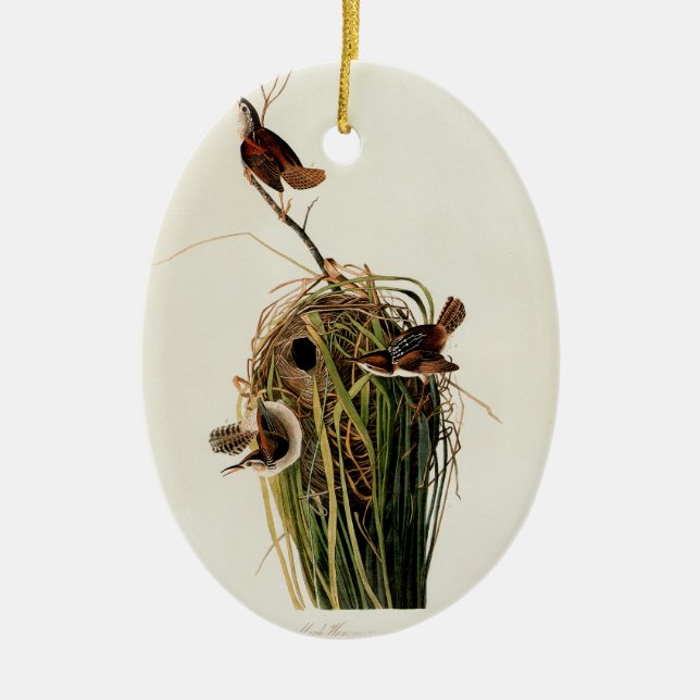 John James Audubon Marsh Wren Bird Print Ceramic Ornament (Front)