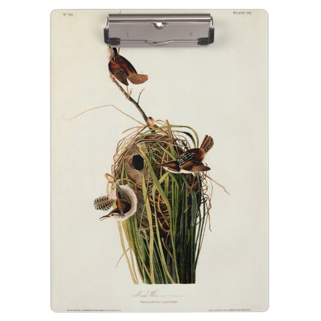 John James Audubon Marsh Wren Bird Print Clipboard (Front)