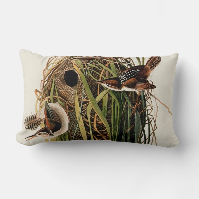 John James Audubon Marsh Wren Bird Print Lumbar Pillow (Front)