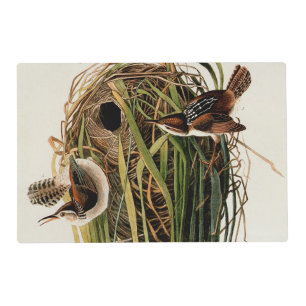 John James Audubon Marsh Wren Bird Print Placemat