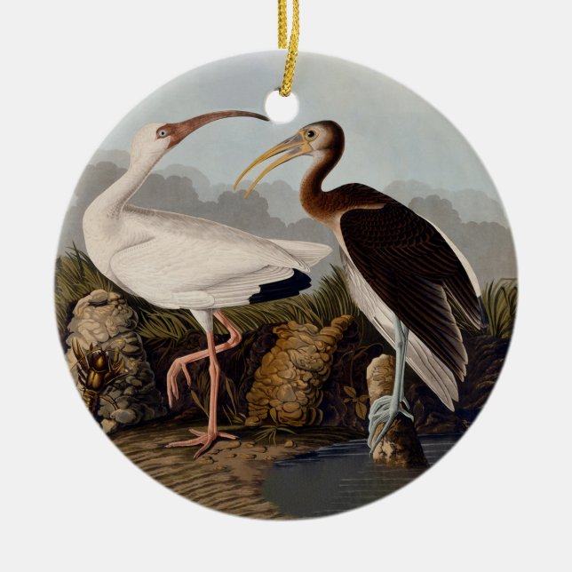 John James Audubon White Ibis Bird Print Classic Ceramic Ornament (Front)