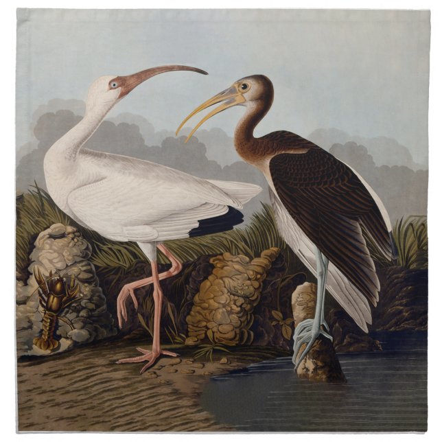 John James Audubon White Ibis Bird Print Classic Cloth Napkin (Front)