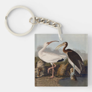 John James Audubon White Ibis Bird Print Classic Keychain
