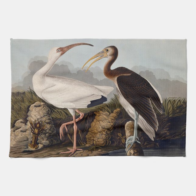 John James Audubon White Ibis Bird Print Classic Kitchen Towel (Horizontal)