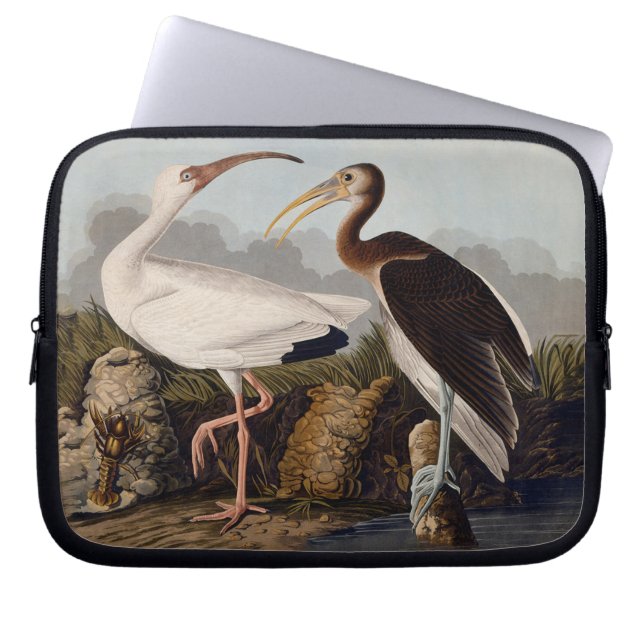 John James Audubon White Ibis Bird Print Classic Laptop Sleeve (Front)