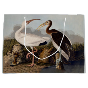 John James Audubon White Ibis Bird Print Classic Large Gift Bag