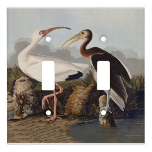 John James Audubon White Ibis Bird Print Classic Light Switch Cover