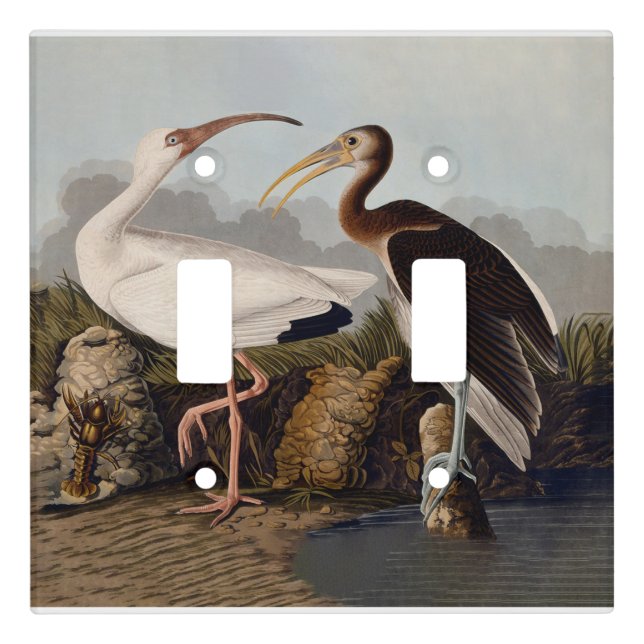 John James Audubon White Ibis Bird Print Classic Light Switch Cover (Front)
