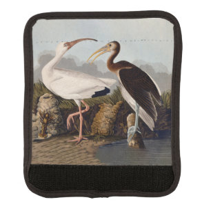 John James Audubon White Ibis Bird Print Classic Luggage Handle Wrap
