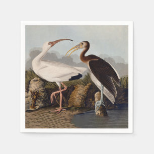 John James Audubon White Ibis Bird Print Classic Napkins