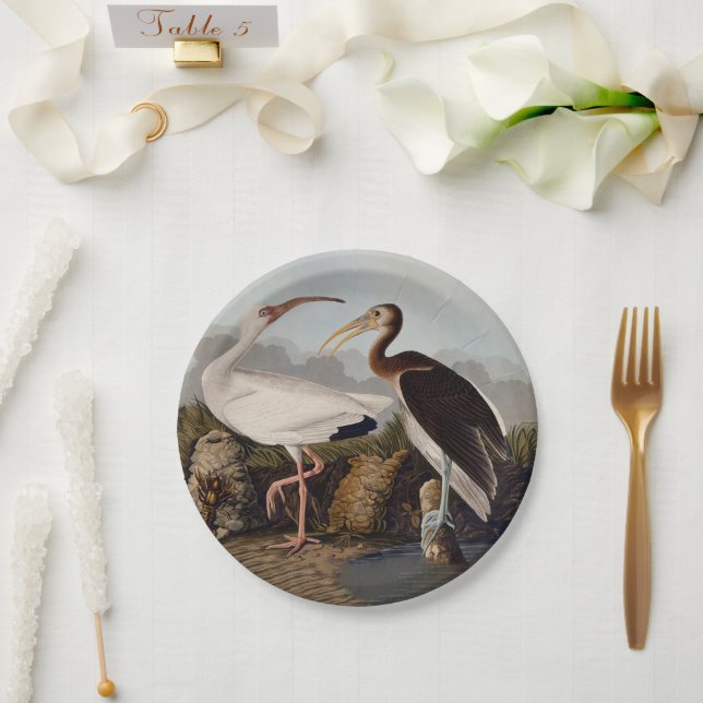 John James Audubon White Ibis Bird Print Classic Paper Plates (Wedding)