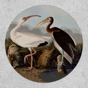 John James Audubon White Ibis Bird Print Classic Patch