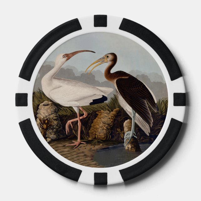 John James Audubon White Ibis Bird Print Classic Poker Chips (Front)