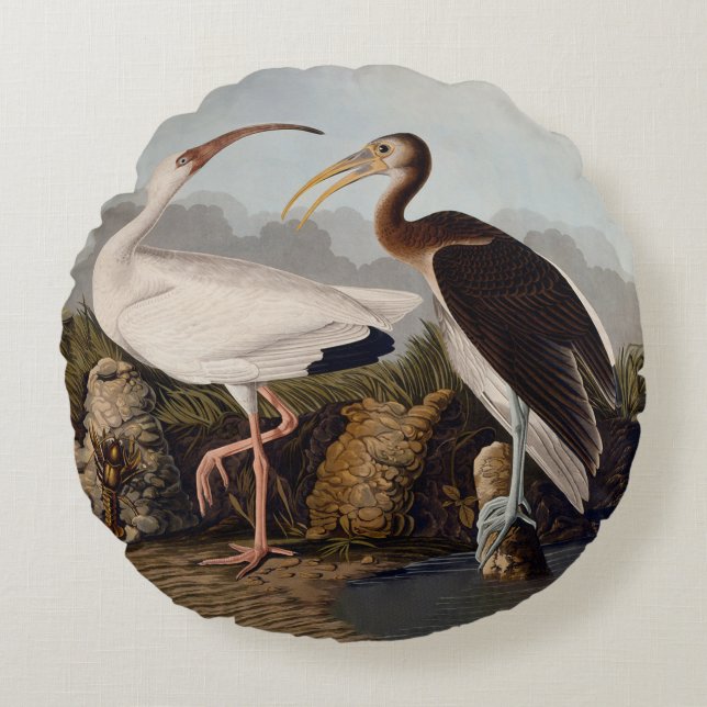 John James Audubon White Ibis Bird Print Classic Round Pillow (Front)
