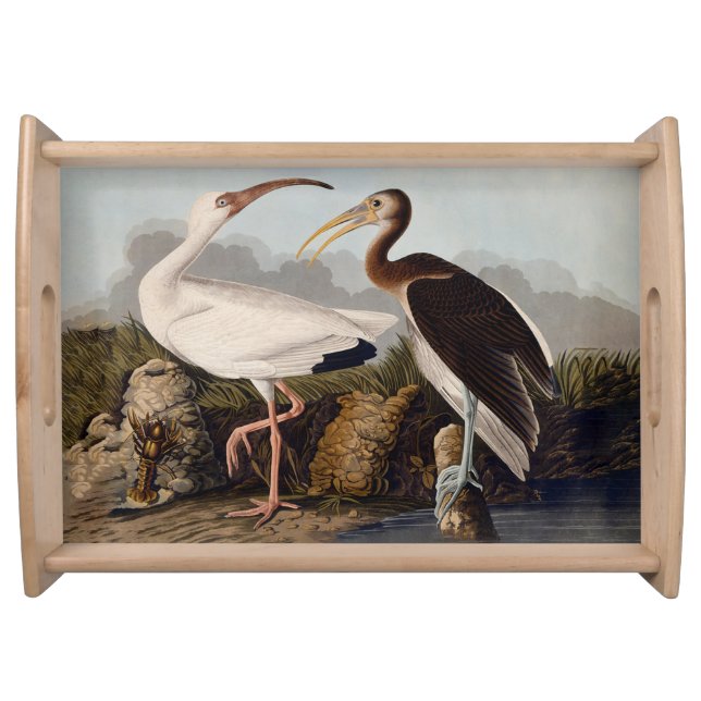 John James Audubon White Ibis Bird Print Classic Serving Tray (Front)