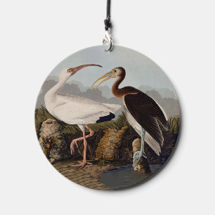 John James Audubon White Ibis Bird Print Classic Wind Chime